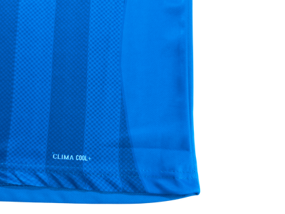 Custom Blue T-20 Style 2026 Fan Jersey